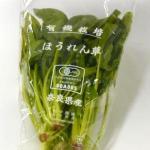 有機ほうれん草【島根県産、他】