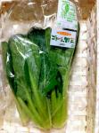 有機小松菜【島根県産、他】