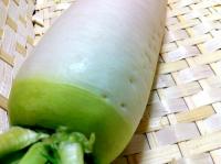 有機・大根　1本　【長野県産　他】