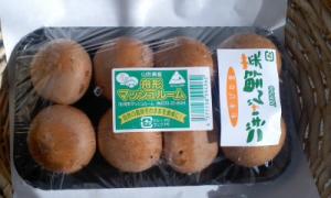 マッシュルーム　100g　【神奈川県産　他】