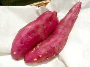 有機・金時芋　約500g　【香川県産 他】