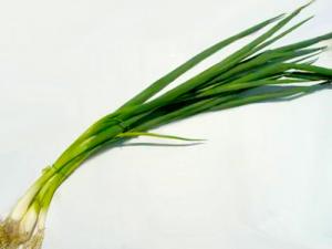 有機・青ねぎ　約100g　【高知産 他】