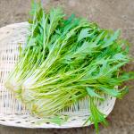 有機肥料100%栽培(無化学肥料)水菜200g 【奈良県産　他】