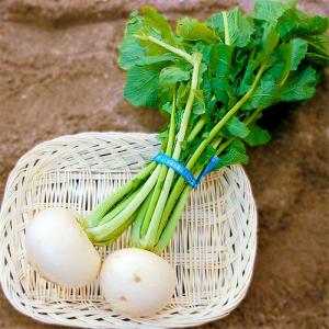 有機白菜小カブ【長崎県産、他】