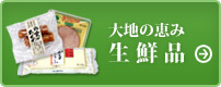 大地の恵み生鮮品